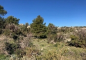 Non-developable land for sale on España, Teulada, ref: TR112724 photo