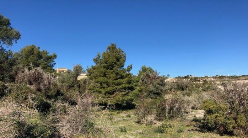 Alicante - Teulada - 19200m2