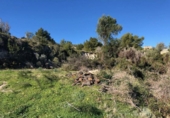 Non-developable land for sale on España, Teulada, ref: TR112724 photo