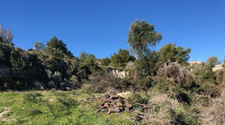 Alicante - Teulada - 19200m2