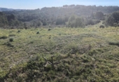 Non-developable land for sale on España, Teulada, ref: TR112724 photo
