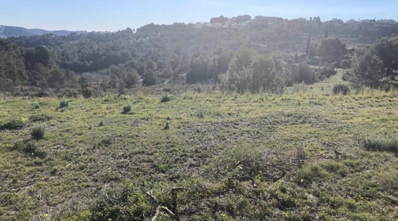 Alicante - Teulada - 19200m2