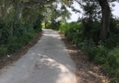 Terreny no urbanitzable en venda a la España, Barbate, ref.: TR114193 foto