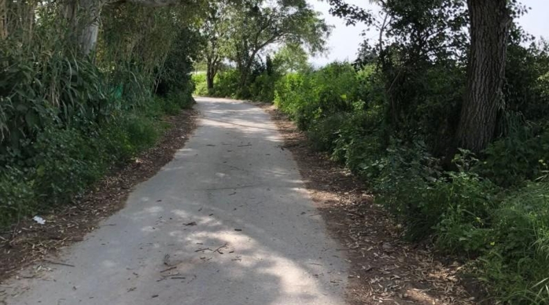 Cádiz - Barbate - 8000m2