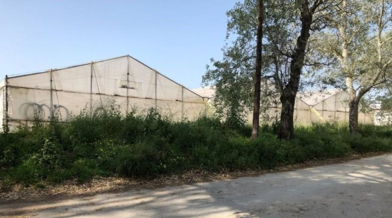 Cádiz - Barbate - 8000m2