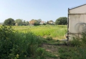 Terreny no urbanitzable en venda a la España, Barbate, ref.: TR114193 foto