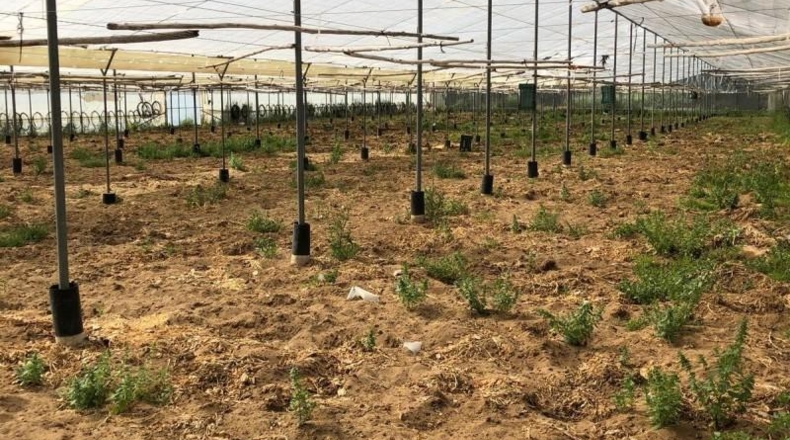 Cádiz - Barbate - 8000m2