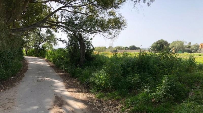 Cádiz - Barbate - 8000m2