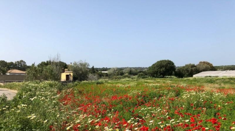 Cádiz - Barbate - 8000m2