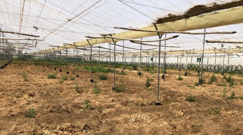 Cádiz - Barbate - 8000m2