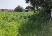 Terreny no urbanitzable en venda a la España, Barbate, ref.: TR114193 foto