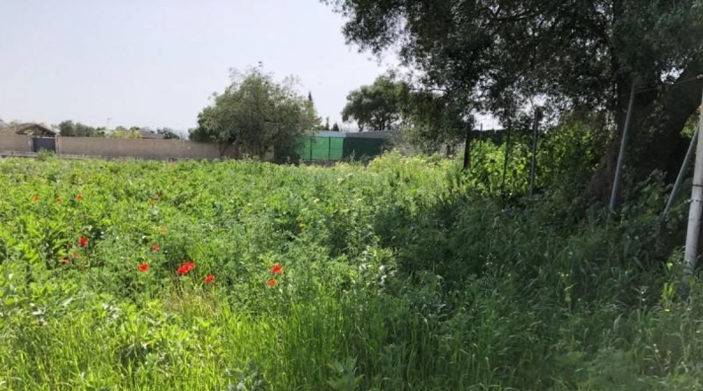 Cádiz - Barbate - 8000m2