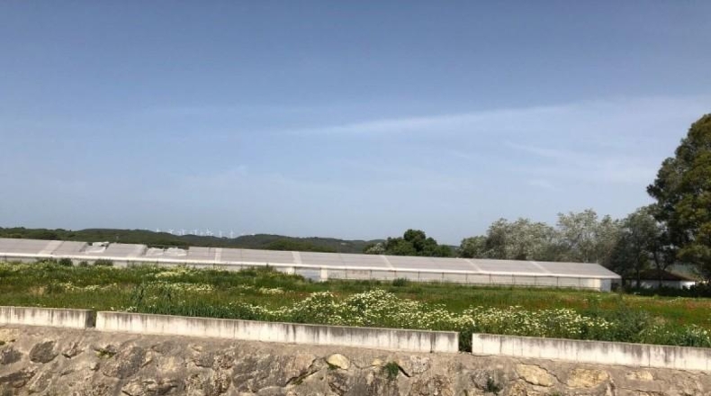 Cádiz - Barbate - 8000m2