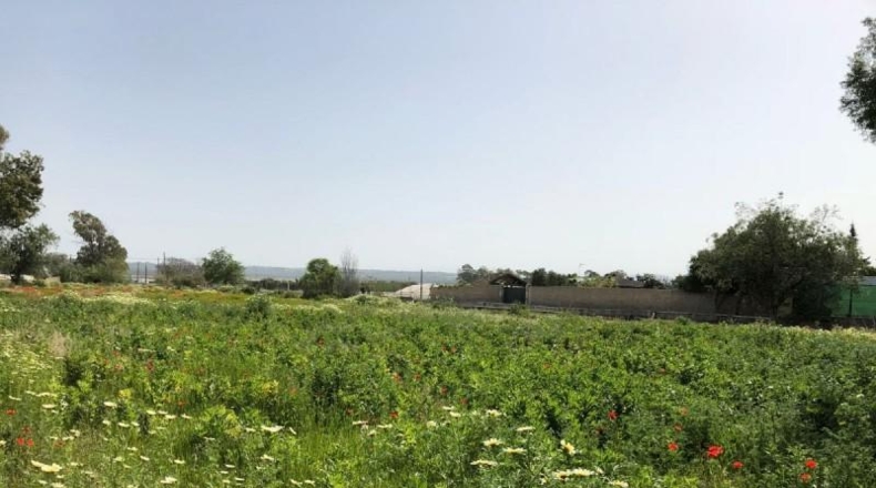 Cádiz - Barbate - 8000m2