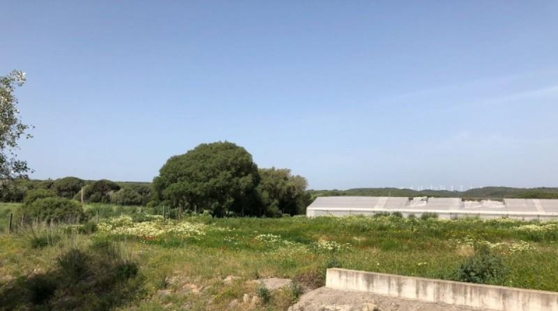 Cádiz - Barbate - 8000m2