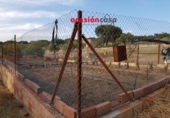 Xalet independent amb terreny en venda a la España, Estación de Espiel, ref.: TR134995 foto