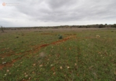 Terreny no urbanitzable en venda a la España, ses Salines, ref.: TR115435 foto
