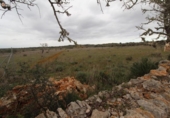 Terreny no urbanitzable en venda a la España, ses Salines, ref.: TR115435 foto