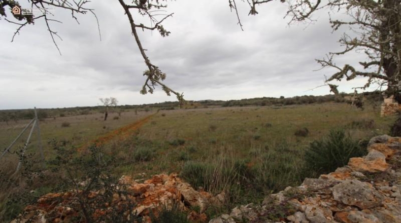 Balearic Islands - Las Salinas - 7141m2