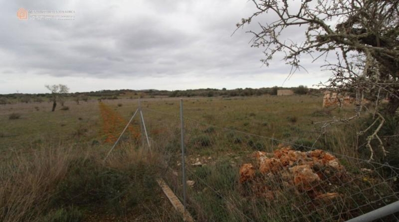 Balearic Islands - Las Salinas - 7141m2