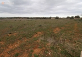 Terreny no urbanitzable en venda a la España, ses Salines, ref.: TR115435 foto