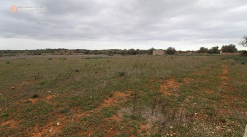 Balearic Islands - Las Salinas - 7141m2