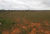 Terreny no urbanitzable en venda a la España, ses Salines, ref.: TR115435 foto