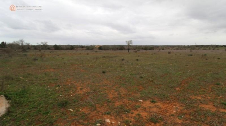 Balearic Islands - Las Salinas - 7141m2