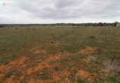 Terreny no urbanitzable en venda a la España, ses Salines, ref.: TR115435 foto