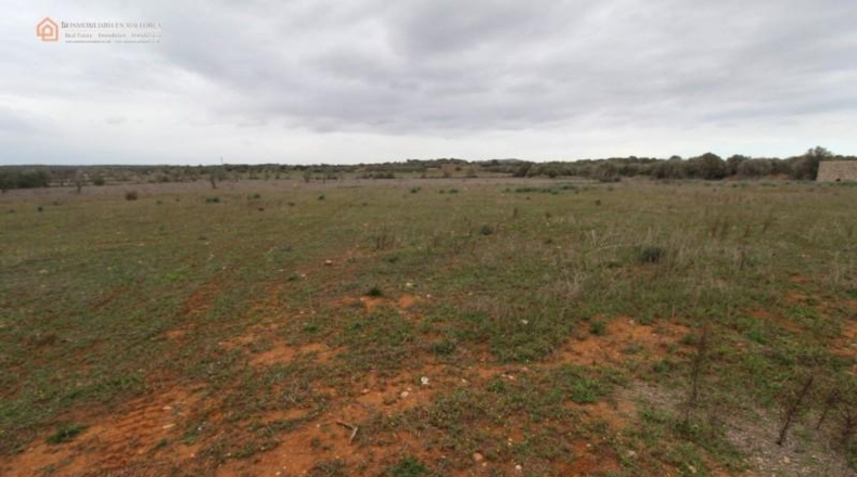 Balearic Islands - Las Salinas - 7141m2