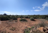 Terreny no urbanitzable en venda a la España, ses Salines, ref.: TR115435 foto