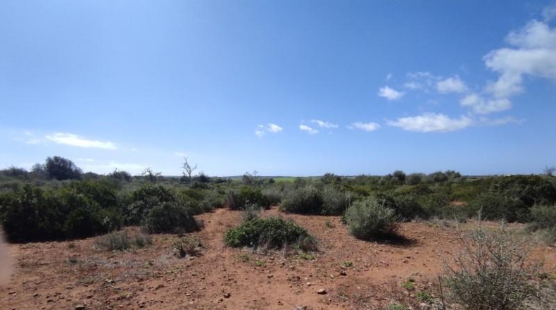 Balearic Islands - Las Salinas - 7141m2