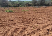 Terreny no urbanitzable en venda a la España, ses Salines, ref.: TR115435 foto