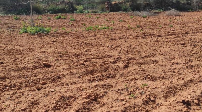 Balearic Islands - Las Salinas - 7141m2