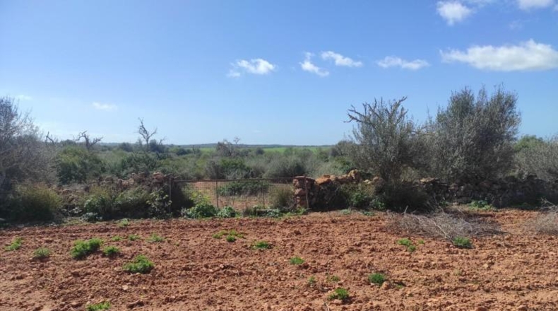 Balearic Islands - Las Salinas - 7141m2