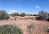 Terreny no urbanitzable en venda a la España, ses Salines, ref.: TR115435 foto
