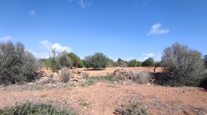 Balearic Islands - Las Salinas - 7141m2