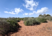 Terreny no urbanitzable en venda a la España, ses Salines, ref.: TR115435 foto