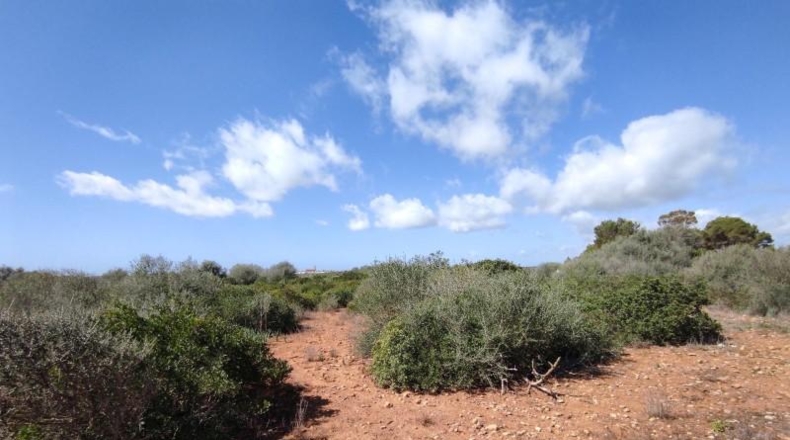 Balearic Islands - Las Salinas - 7141m2
