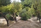Terreny no urbanitzable en venda a la España, Albacete, ref.: TR115485 foto