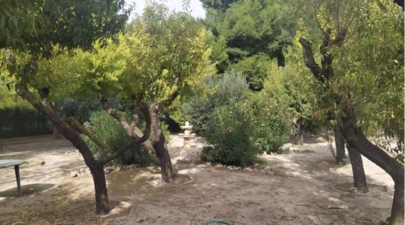 Albacete - Albacete - 4201m2