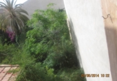 Casa de campo con terreno en venta en la España, Novelda, ref: TR146015 foto