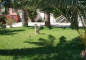 Chalet independiente con terreno en venta en la España, Novelda, ref: TR146058 foto