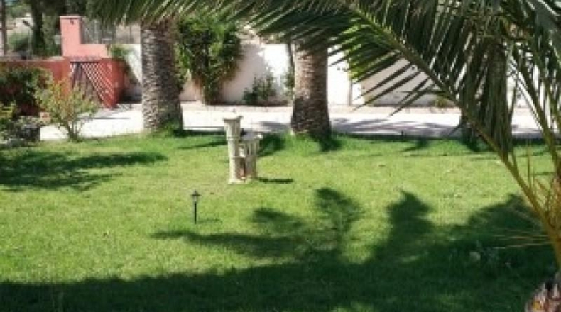 Alicante - Novelda - 1900m2