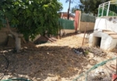 Chalet independiente con terreno en venta en la España, Novelda, ref: TR146058 foto