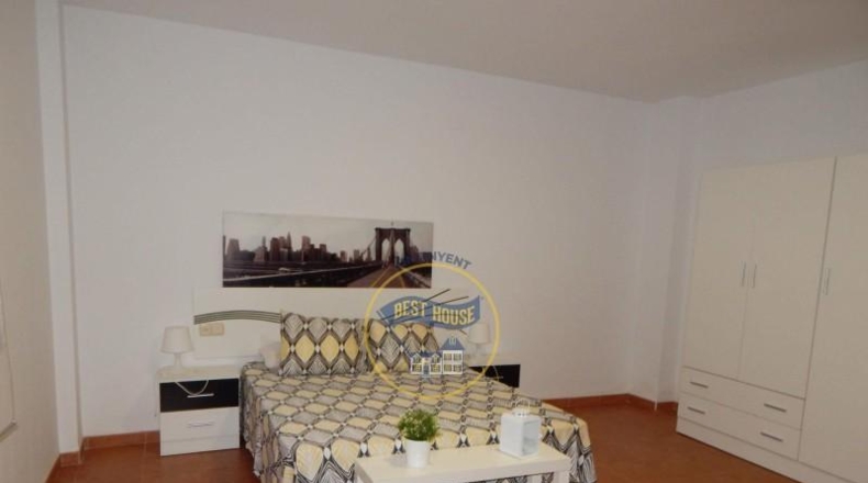 Valencia - Ollería - 10000m2