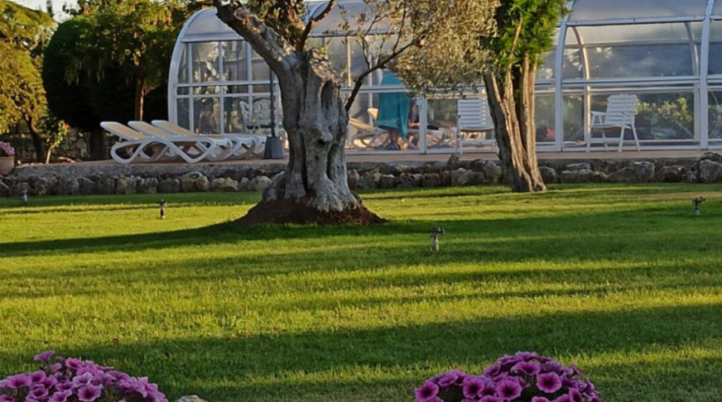 Palencia - Husillos - 4200m2