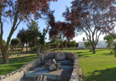 Finca rústica en venda a la España, Husillos, ref.: TR112150 foto