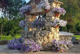 Foto 15