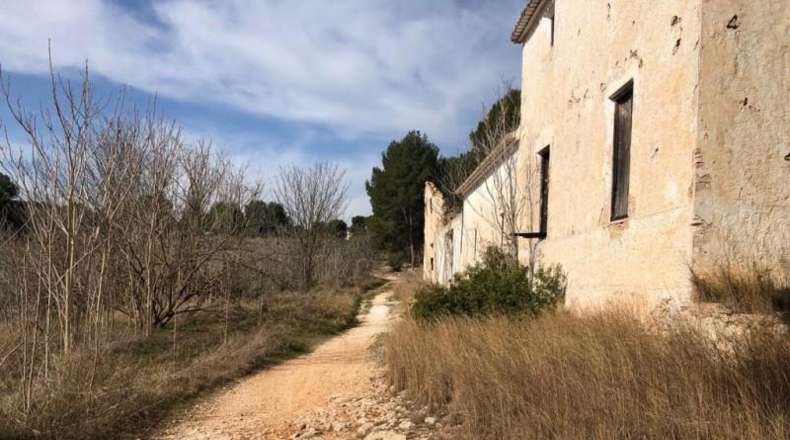 Valencia - Ollería - 212842m2